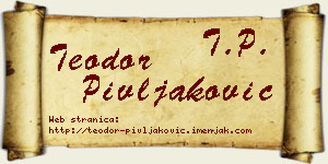 Teodor Pivljaković vizit kartica